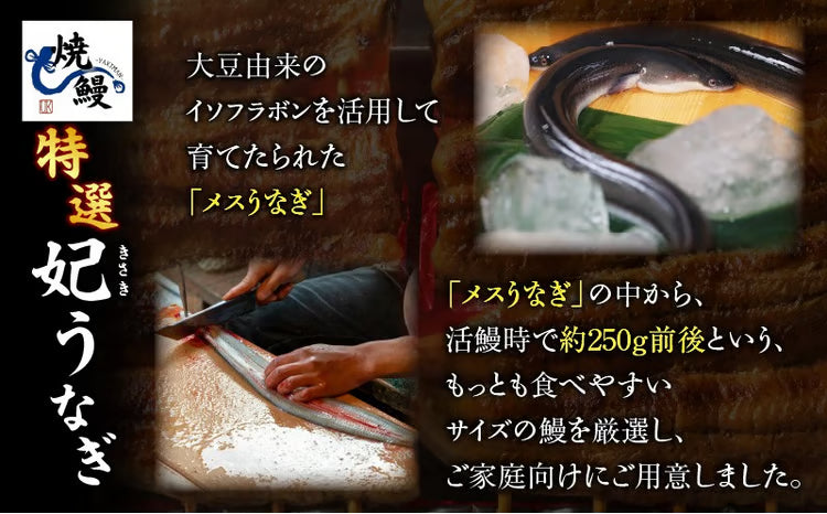 焼鰻特選　妃うなぎ 2尾セット（たれ付き）